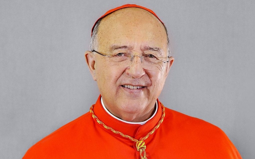 Cardenal Pedro Barreto SJ, miembro de Dicasterio dedicado al desarrollo humano