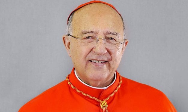 Cardenal Pedro Barreto SJ, miembro de Dicasterio dedicado al desarrollo humano