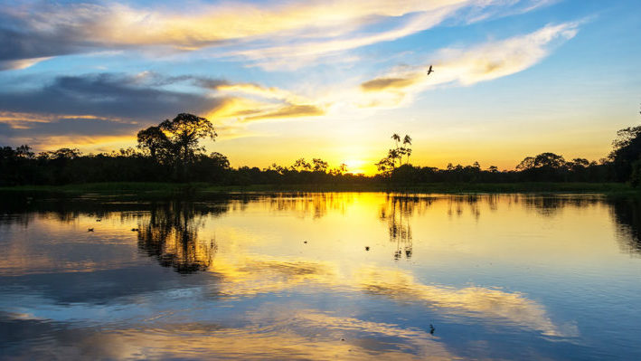 40 días de oración y reflexión hacia el Sínodo sobre la Amazonía