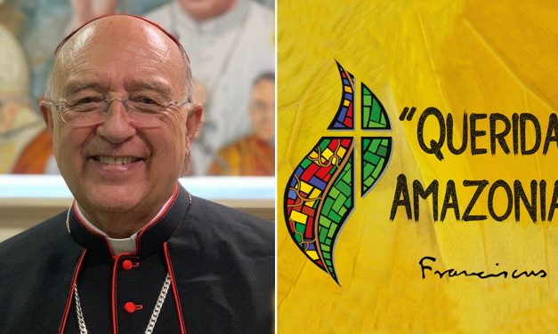 Cardenal Barreto: Próximas conferencias sobre Exhortación Apostólica «Querida Amazonía»