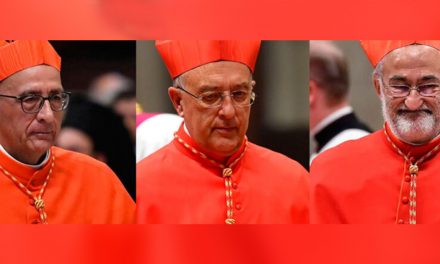 Cardenal Barreto en «Consejo de cardenales: Un Plan para Resucitar»