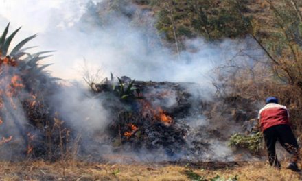 Campaña solidaria por víctimas de incendio forestal en Quispicanchi