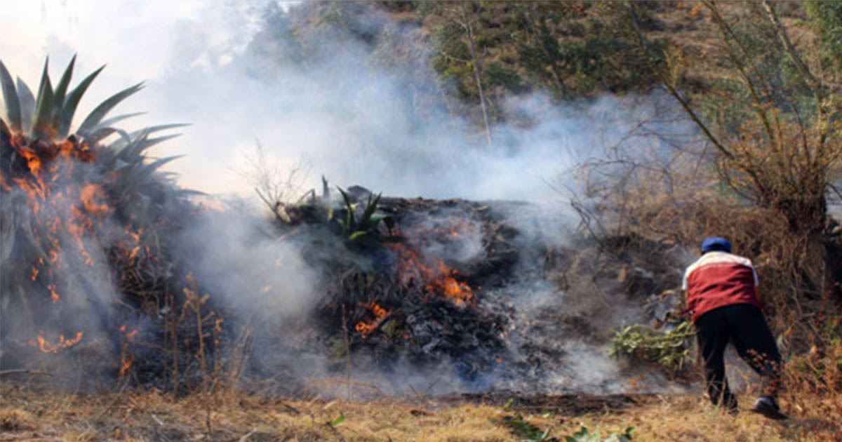 Campaña solidaria por víctimas de incendio forestal en Quispicanchi
