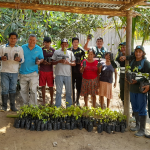 Radio Kampagkis y Municipalidad de Condorcanqui entregan plantones de Tornillo