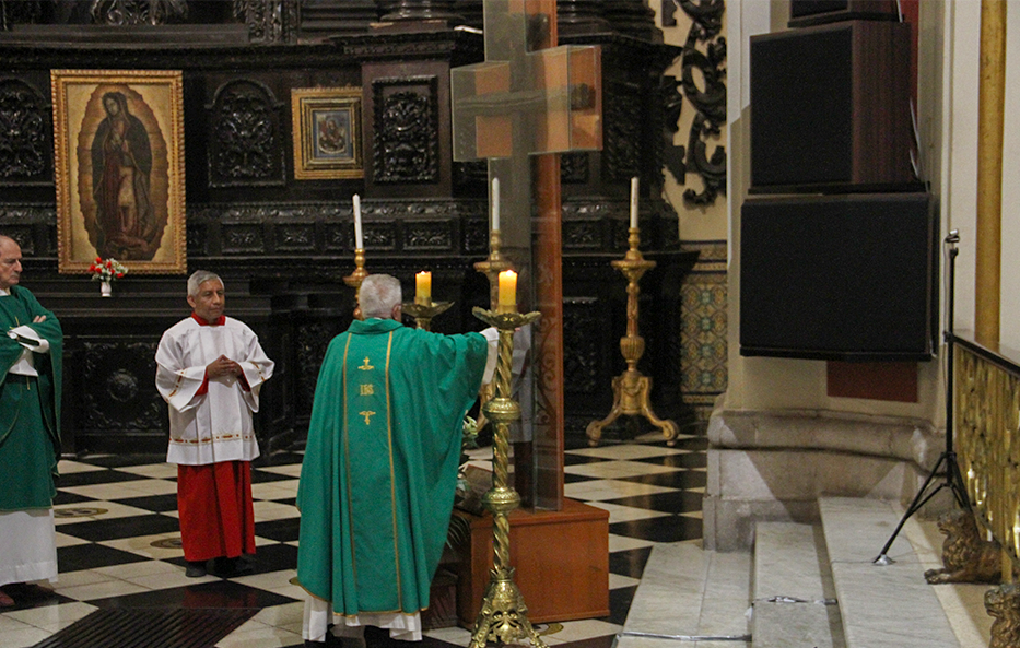 P. Francisco del Castillo, celebración por su pronta beatificación