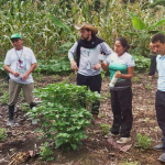 SAIPE: Escuela de Formación en Agroecología de Condorcanqui (Amazonas, Perú)