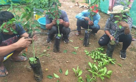 CIPCA capacita a productores de Piura