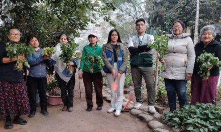 SEA y Municipalidad de El Agustino impulsan biohuerto comunitario  