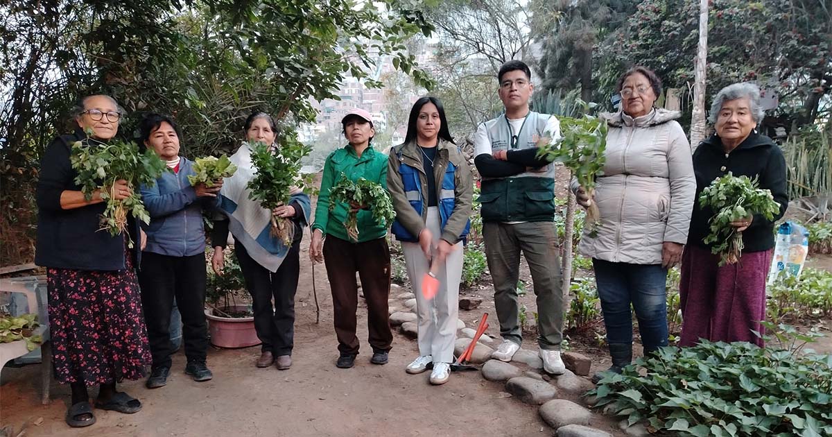 SEA y Municipalidad de El Agustino impulsan biohuerto comunitario  