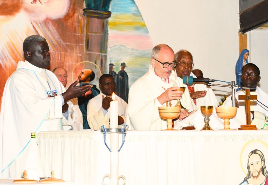 Se inauguran nuevas provincias jesuitas en Asia y África