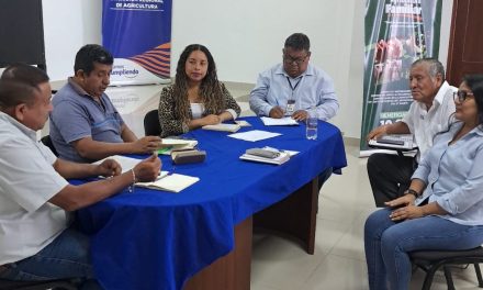 CIPCA y Gobierno Regional impulsan trabajo articulado para fortalecer cadena de valor de la paja toquilla  