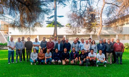 Consulta Ampliada 2025