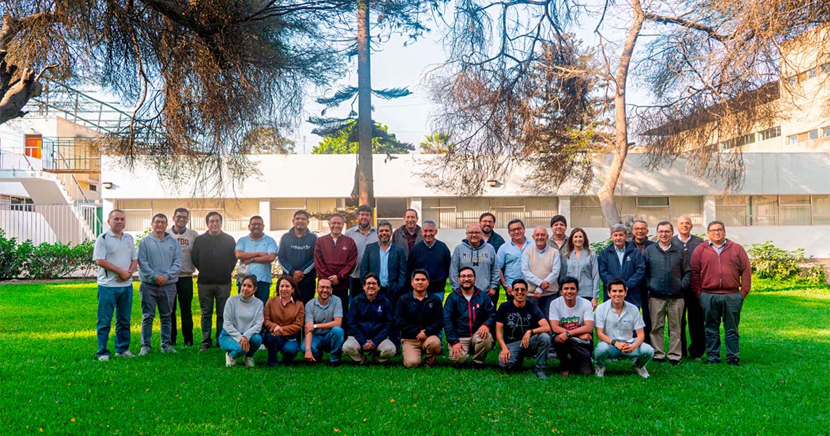 Consulta Ampliada 2025