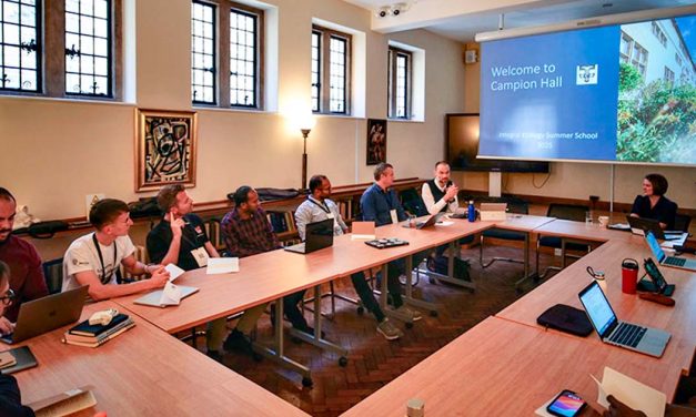 Escuela de Verano de Ecología Integral 2026 