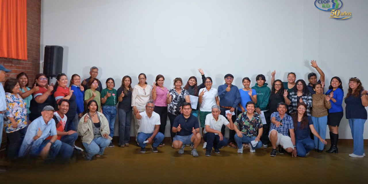 CEOP Ilo organizó taller sobre democracia y participación ciudadana  