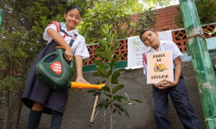 Fe y Alegría celebra 60 años con una Campaña Nacional de Arborización