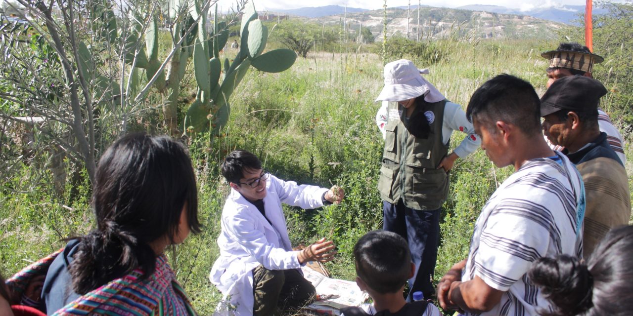 Centro Loyola Ayacucho organizó taller de conservación de plantas