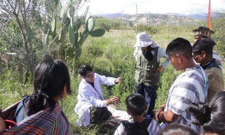 Centro Loyola Ayacucho organizó taller de conservación de plantas